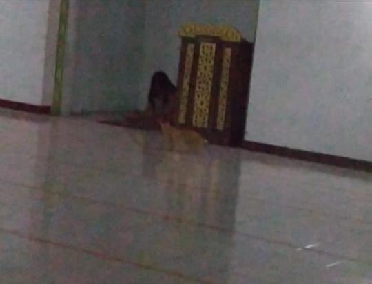 Kisah Mistis di Kampus Untirta, Mulai Dari Suara Perempuan Mengaji Hingga Penampakan di Masjid