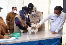 100 Kucing Peliharaan di Kota Serang Divaksin Rabies