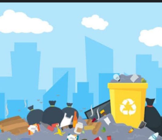 Pengaruh Peraturan Daerah Tentang Retribusi Sampah Terhadap Pendapatan Asli Daerah di Kabupaten Serang