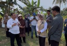 Kawasan Transmigrasi Gotong Royong Terpadu Bakal Dibangun di Pandeglang