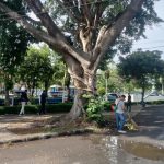 Agenda Rutin, Jumat Bersih Disdukcapil Kota Serang Jadi Teladan Budaya Kerja