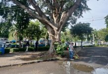 Agenda Rutin, Jumat Bersih Disdukcapil Kota Serang Jadi Teladan Budaya Kerja