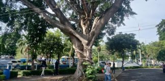 Agenda Rutin, Jumat Bersih Disdukcapil Kota Serang Jadi Teladan Budaya Kerja