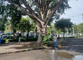 Agenda Rutin, Jumat Bersih Disdukcapil Kota Serang Jadi Teladan Budaya Kerja