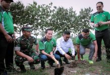 Ketua DPRD Kota Serang Dukung Gerakan Penanaman Pohon di Kasemen