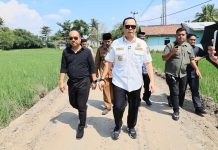 DPUPR Kota Serang Targetkan Seluruh Jalan Mantap Tuntas pada Tahun 2028