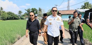 DPUPR Kota Serang Targetkan Seluruh Jalan Mantap Tuntas pada Tahun 2028